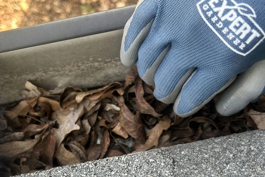 Gutter Cleaning Clayton, MO